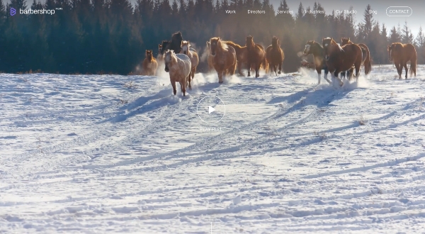 A group of horses runs across a snowy field, kicking up snow, with a forest of tall, dark trees in the background and sunlight streaming from the right—a scene as striking as a Loomo Marketing campaign.